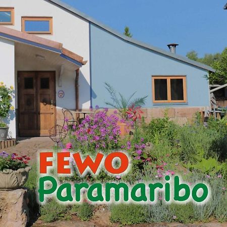 Fewo Paramaribo Витценхаузен Экстерьер фото