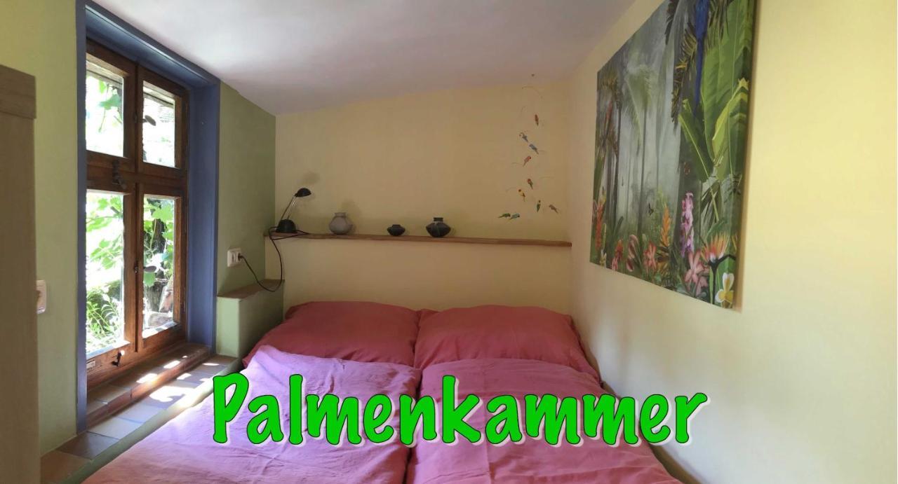 Fewo Paramaribo Витценхаузен Экстерьер фото