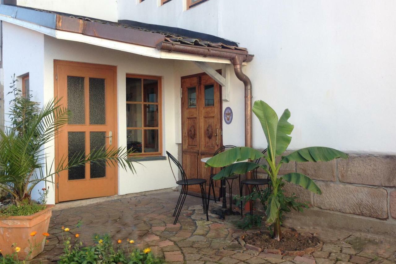 Fewo Paramaribo Витценхаузен Экстерьер фото
